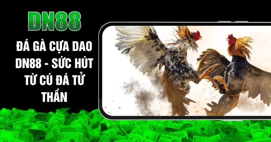 Đá Gà Cựa Dao DN88 - Sức Hút Từ Cú Đá Tử Thần